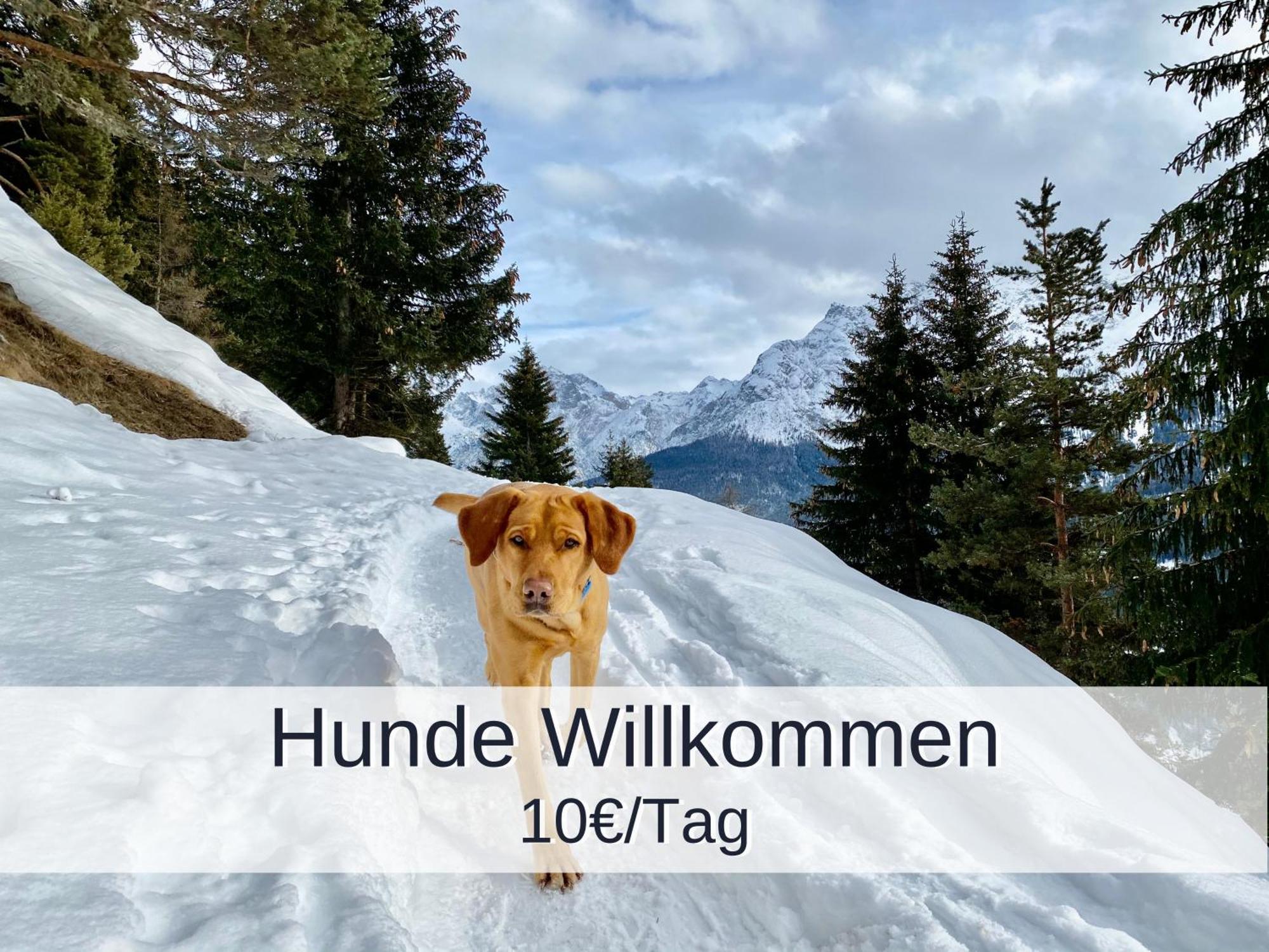 Ferienwohnung Rambold Sonnenterrasse Garmisch-Partenkirchen Zewnętrze zdjęcie